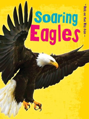 cover image of Soaring Eagles
